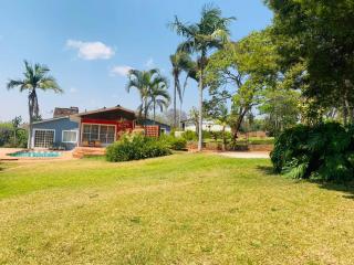 Colourful Suburban Oasis - 5