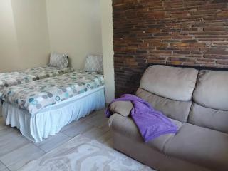 Colourful Suburban Oasis - 3