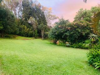 Colourful Suburban Oasis - 2