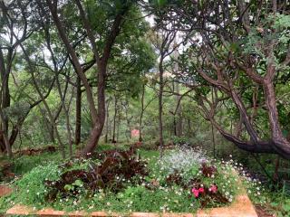 Colourful Suburban Oasis - 1