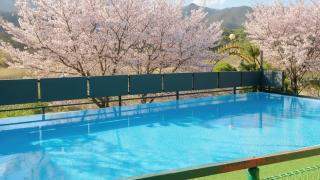 Gapyeong ebenzer Pension - 2