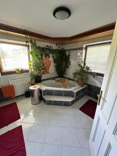 Ferienhaus Penningdörfl - 1