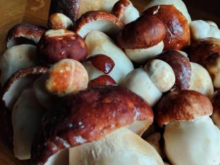 Ethno village & resort Ćorić - 9