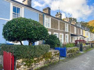 Glyn Terrace Cottage - 0