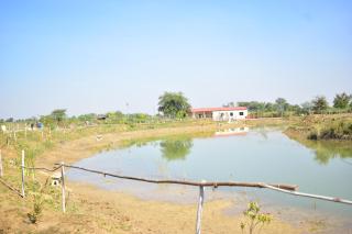 Ajinkya Jungle Farm Stay - 8
