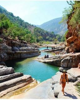 Boho Beige Apartment - Walkable to Beach with Workspace, Fast WiFi, AC & Full Kitchen - 8