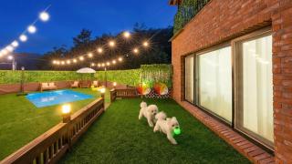 Taean WithDog Aegyeonspa Poolvilla - 4