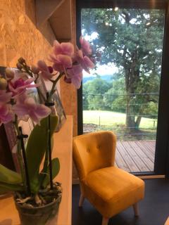 Domaine de Hurlevent - Tiny House petite maison écologique - 1