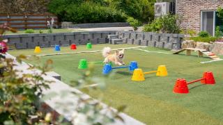 Gapyeong Manwol Aegyeon Pool Glamping - 0