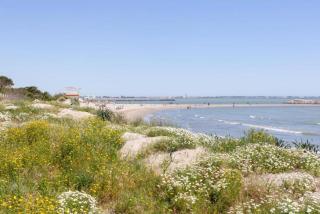 Chez Marie - Bel appartement en centre ville et front de mer - 9