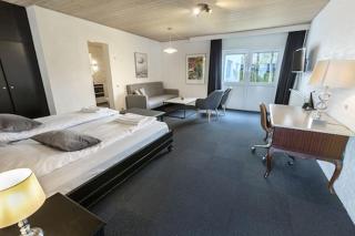 Dolphin Hotel Herning - 9