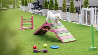 Gapyeong Dongban84 Glamping&Pool villa - 8