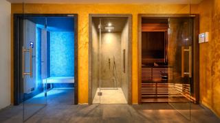 Modern villa Aria with pool and jacuzzi in Visnjan - 8