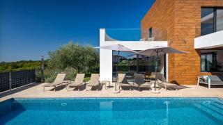 Modern villa Aria with pool and jacuzzi in Visnjan - 3