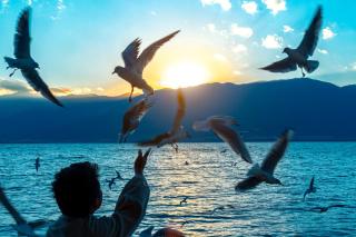 LIUBAI HANDANYI Seaview Resort Hotel - 9