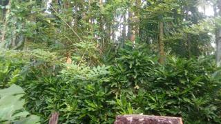 Govanashree Homestay - 4