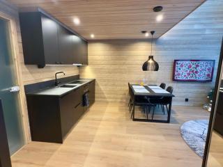 Levi Lapland Luxury Igloos A - 3