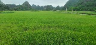 Trang An Moon Garden - 2