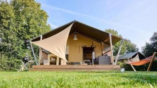 Papillon Country Resort - 3