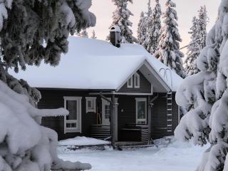 Hietavilla Borealis - Hot tube - Sauna - Fireplace - 11kW EV-refuel - Landscape view - Silence - Free WiFi - 9