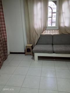 منتج الزهور اكتوبر الإسكندرية - 1