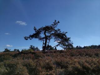 Ferienwohnungen Ambiente-Schmidt - 3