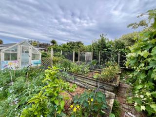 The Sweet Spot Family Home Centrally Located Motueka - 7