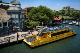 The Manor - Alexandria - 8