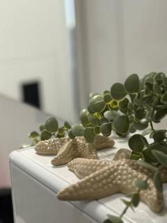 Moderner Neubau nähe Lübeck - 5