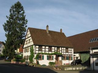 Gemütliches Wohlfühl-Apartment am Stadtrand von Freiburg, Freiburg im Breisgau - 9