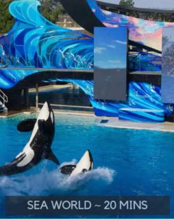 Retreat vacation with solar heating pool - 7