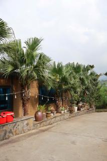 Viên Nam Xanh Homestay - 3