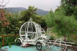 Viên Nam Xanh Homestay - 1