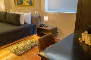 Casa Studio San Miguel de Allende - 9