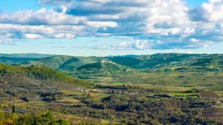 Rustic villa Casa Mazuli with pool in Groznjan - 8