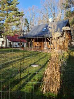 Bursztynowy domek - 6