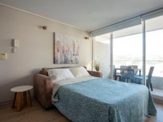 Costa Home - Quinta Vergara Apartment - 9