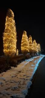 Premium Apartment Wohlfühl-Oase mit Pool und Sauna - 7