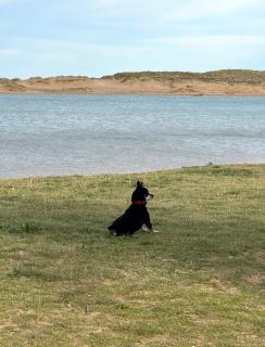 Apartamento en Mogro. La Pizca. - 9