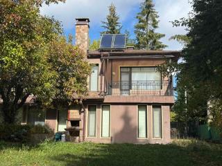 Yarema Forest House - 0