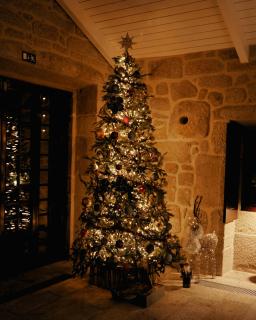 Vinte-Quinta da Boavista - 9