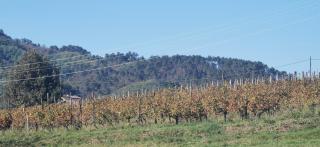 La Maison de Jardin - 4