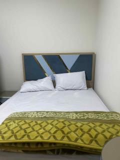 sheikh zayed villa - 4