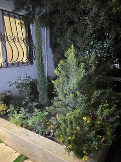 sheikh zayed villa - 5