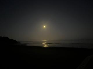 El Reflejo Lodge Spa - Queilen - Chiloé - 7