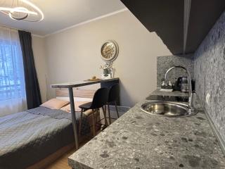 Дрийм Вю студио Пампорово - 4