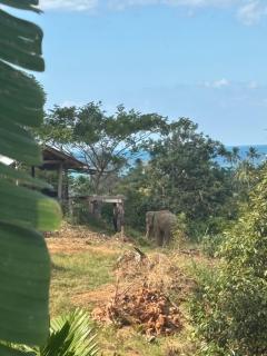 Elephants, Mountains & Sea View House in Kai Bae - 0