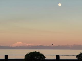 El Reflejo Lodge Spa - Queilen - Chiloé - 4