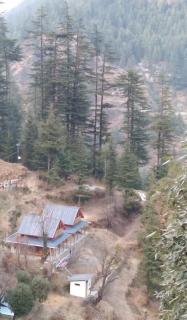 the lambhri cottage jibhi - 3