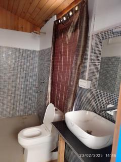 the lambhri cottage jibhi - 7